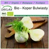 SAFLAX - Bio - Koper Bulwiasty - 100 Nasiona - Foeniculum Podgląd zdjęcia produktu 10