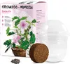 GROW2GO Mimose Starter Kit Anzuchtset - Pflanzset aus Produktbild-Vorschau 1