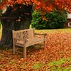 CLP Teakbank Florida teak Größe 150 cm Produktbild-Vorschau 4