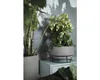 b.for studio Schale 30cm  living beton Produktbild-Vorschau 9