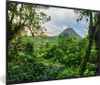 MuchoWow® MuchoWow® Gerahmtes Poster Dschungel - Baum - Produktbild-Vorschau 1
