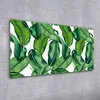 Coloray - Glasbild - 100x50 cm - Wandbild - Glasbilder - Produktbild-Vorschau 2