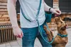 Hunter Pet Einfache Leckerlitasche Grün  Grün One Size Produktbild-Vorschau 5