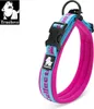 TrueLove Nylon Halsband mit Neopren unterlegt blau/pink, Produktbild-Vorschau 2