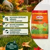 SUBSTRAL® Herbst-Rasendünger für bis zu 500 m² - 12,5 kg Produktbild-Vorschau 9