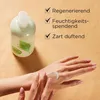 Elizabeth Arden Green Tea – Refreshing Body Lotion, 500 ml, Produktbild-Vorschau 5