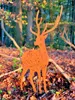 A metal deer garden stake with a rust finish is placed in a forest setting with fallen autumn leaves. Produktbild-Vorschau