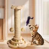 Griffoir, arbre à chat, arbre à chat pour grands chats, Voir les images du produit 9