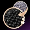 Perwoll Black Renew prací prostředek 3,96 l Náhled obrázku produktu 4