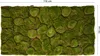 Repiterra® Terrarium Rückwand 3D Hintergrund Moos Design Produktbild-Vorschau 2