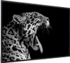 MuchoWow® MuchoWow® Gerahmtes Poster Jaguar - Tier - Produktbild-Vorschau 8