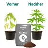 BioBizz All-Mix – vorgedüngte -Erde 50 Liter – inkl. Produktbild-Vorschau 4