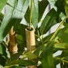 HOMCOM Bambou artificiel plantes artificielles décoratives Voir les images du produit 8