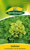 Endivie, Escariol grüner Produktbild-Vorschau 5