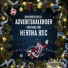 Der inoffizielle Adventskalender für Fans von Hertha BSC Produktbild-Vorschau 1