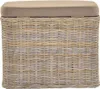 A close-up front view of a woven storage ottoman with a cushioned lid. Produktbild-Vorschau