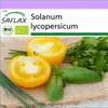 SAFLAX - BIO - Rajče - Zlatá královna - Solanum Náhled obrázku produktu 10