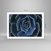 Poster - Poster ohne Rahmen - Blau Kaktus Blume - 70x50 cm Produktbild-Vorschau 4