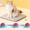 A cat sitting on a mat with interactive toys below. Náhled obrázku produktu