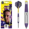 Target Luke Littler BRASS 22g Steeldarts Anteprima dell’immagine prodotto 2