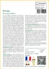 SAFLAX  - Moringa - 10 graines - Avec substrat - Moringa Voir les images du produit 3