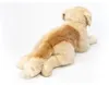 Teddy-Hermann Teddy Hermann Golden Retriever liegend, ca. Anteprima dell’immagine prodotto 9