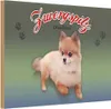 vianmo Holzschild 12x18 cm Hund Zwergspitz Deutschland Tier Produktbild-Vorschau 1