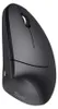 Trust, Ergonomische kabellose Maus Vertikal, Schwarz Produktbild-Vorschau 20