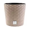 A close-up studio shot of a plant pot. Anteprima dell’immagine prodotto