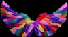 A pair of colorful feather wings against a black background. Produktbild-Vorschau
