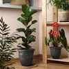 Plastard Übertopf 3er Set Ø 21 cm Anthrazit - Blumentopf Produktbild-Vorschau 5