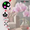 KOTARBAU® Lot de 6 supports de plantes Transparent PVC 55 Voir les images du produit 5