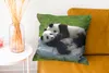 MuchoWow® Zierkissen Sofakissen Wohnzimmer Dekokissen 45x45 Produktbild-Vorschau 6