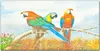 Coloray Küchenrückwand 140x70 Spritzschutz aus Glas - Pet Produktbild-Vorschau 1