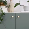 Natural Goods Berlin Maniglia per mobili TROMMEL, pomolo Anteprima dell’immagine prodotto 2
