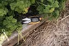 FISKARS 1063326 nůžky na byliny SOLID kalené nerez čepele Náhled obrázku produktu 19