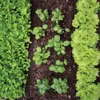 ProGarden Gewächshaus BALKONGEWÄCHSHAUS mit zwei Ebenen Produktbild-Vorschau 5