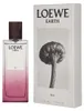 Loewe Earth Elixir Eau de Parfum, 50 ml Productafbeelding-voorbeeld 4