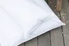 Premium Feder und Daunen Kopfkissen mit Zirbenholz 80x80cm, Produktbild-Vorschau 3