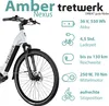 Tretwerk Amber Nexus E Bike Damen 28 Zoll Elektrofahrrad Produktbild-Vorschau 11