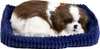 Cagnolino di peluche Perfect Petzzz Shih Tzu 96293 Anteprima dell’immagine prodotto 1