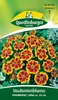Studentenblume, Ehrenkreuz Produktbild-Vorschau 6