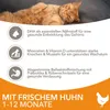 IAMS Cat Kitten Chicken 10 kg Voir les images du produit 6