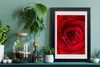 Bild 20x30 MDF-Rahmen, Wandkunst Rote Rose Produktbild-Vorschau 2