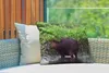 MuchoWow® Outdoor Kissen - Ein Wasserschwein in einem Produktbild-Vorschau 3