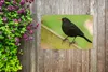 MuchoWow® Produktbild-Vorschau 5
