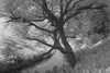 HOYA INFRARED R72 Infrarotfilter 82mm Produktbild-Vorschau 5