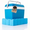 BigDean Kühlbox inkl. 12 Kühlakkus 24 Liter Kühlbox mit Produktbild-Vorschau 1