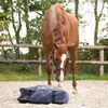 Cuscino da fieno QHP, colore:navy Anteprima dell’immagine prodotto 4