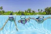 Lunettes Bestway 22011, Hydro-Swim Lil' Caymen, couleurs Voir les images du produit 39